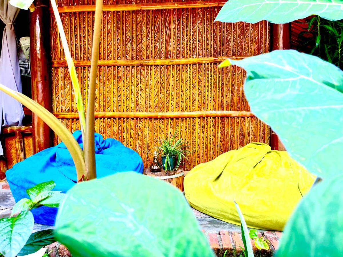 Under The Coconut Tree Hoi An Homestay Ngoại thất bức ảnh